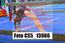 CS5_13966-