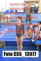 CS5_13977-