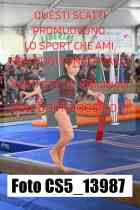 CS5_13987-