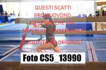 CS5_13990-