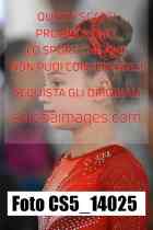 CS5_14025-
