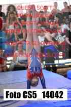 CS5_14042-