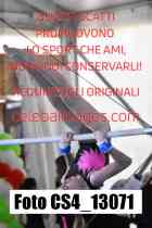 CS4_13071-