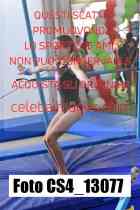 CS4_13077-