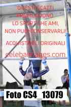 CS4_13079-