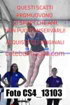 CS4_13103-
