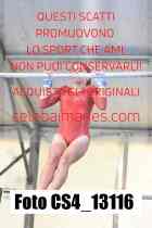 CS4_13116-