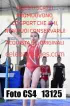 CS4_13125-