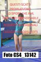 CS4_13142-