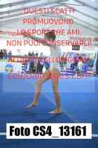 CS4_13161-