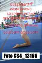 CS4_13166-