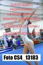 CS4_13183-