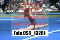 CS4_13201-