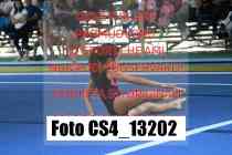 CS4_13202-