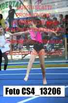 CS4_13206-