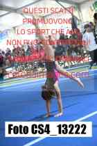 CS4_13222-