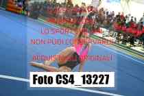CS4_13227-