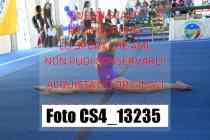 CS4_13235-