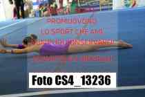 CS4_13236-