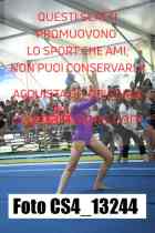 CS4_13244-