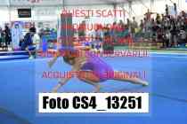 CS4_13251-