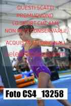 CS4_13258-