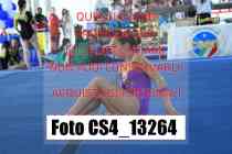 CS4_13264-