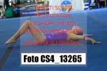 CS4_13265-