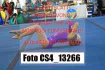 CS4_13266-