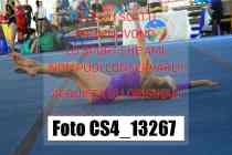 CS4_13267-