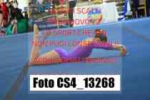 CS4_13268-