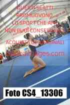 CS4_13306-