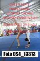 CS4_13313-