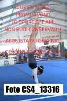CS4_13316-
