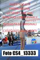 CS4_13333-