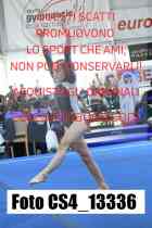 CS4_13336-