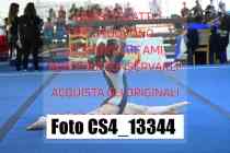 CS4_13344-