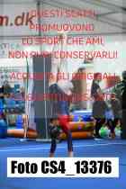 CS4_13376-