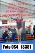 CS4_13381-