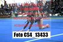 CS4_13433-