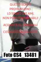 CS4_13481-