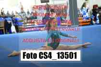 CS4_13501-