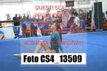 CS4_13509-