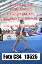 CS4_13525-