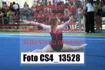 CS4_13528-