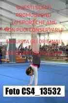 CS4_13532-