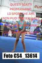 CS4_13614-