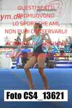 CS4_13621-