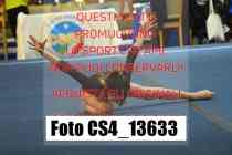 CS4_13633-