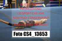 CS4_13653-